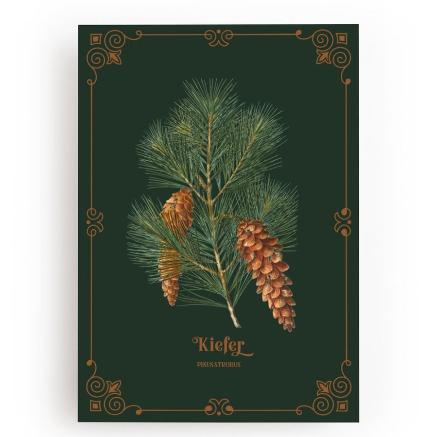 Weihnachten fleuriscoeur | Kunstdruck Kiefer